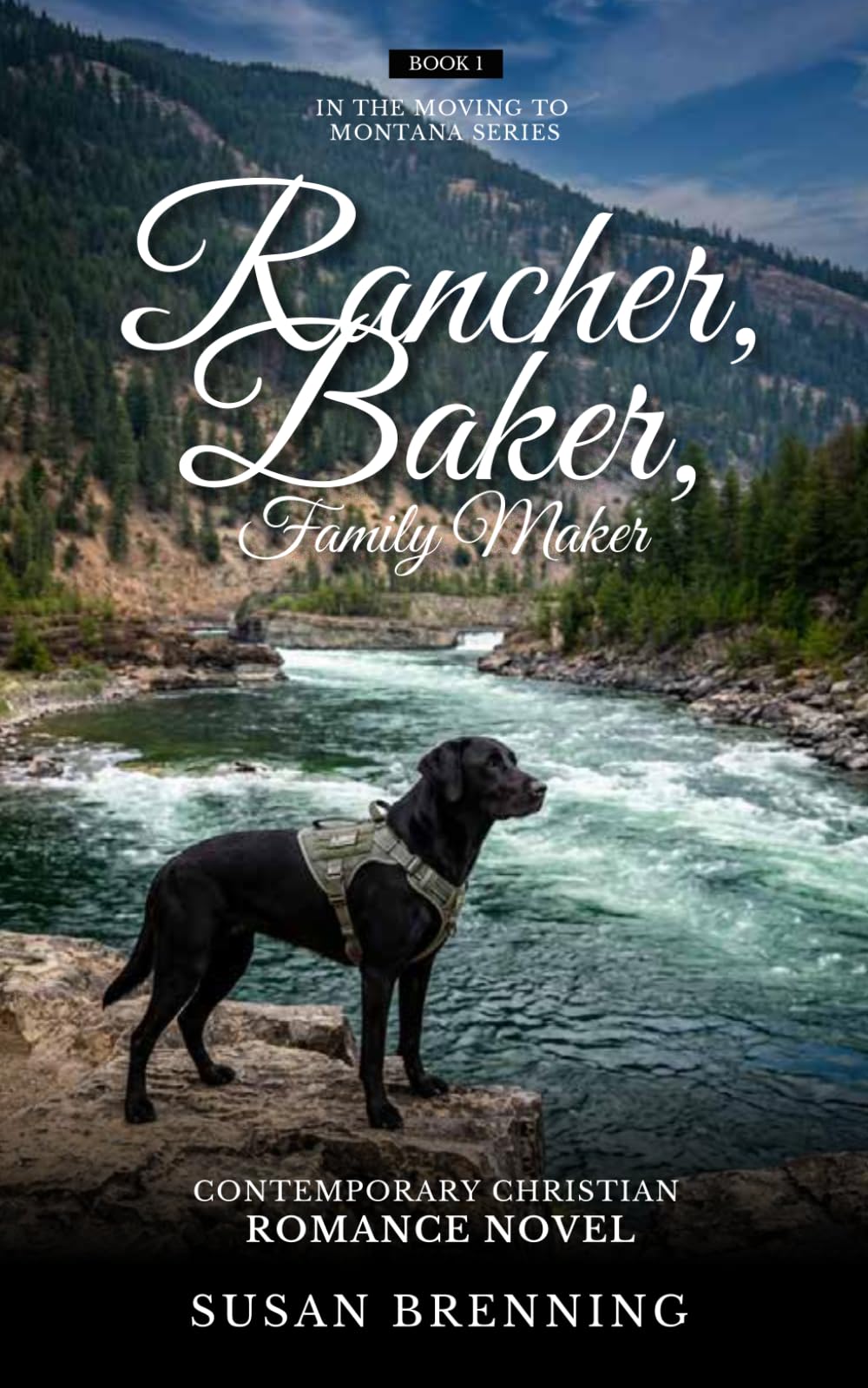 Rancher, Baker, Family Maker: Contemporary Christian Romance Novel (Moving to Montana)