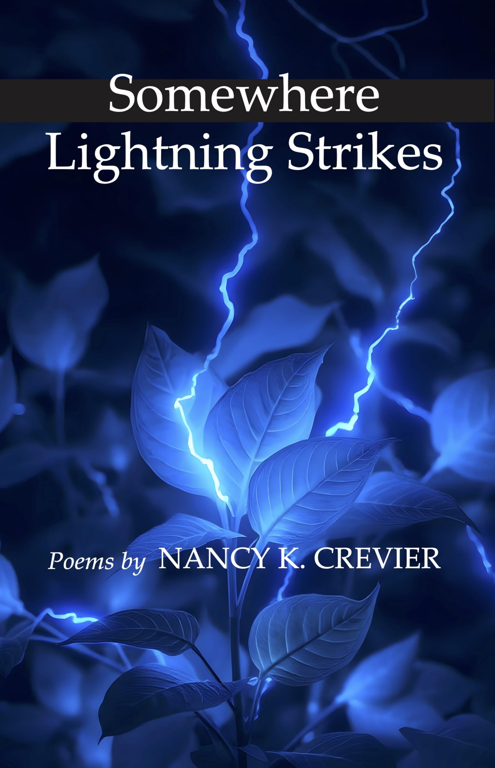 Somewhere Lightning Strikes: Poems