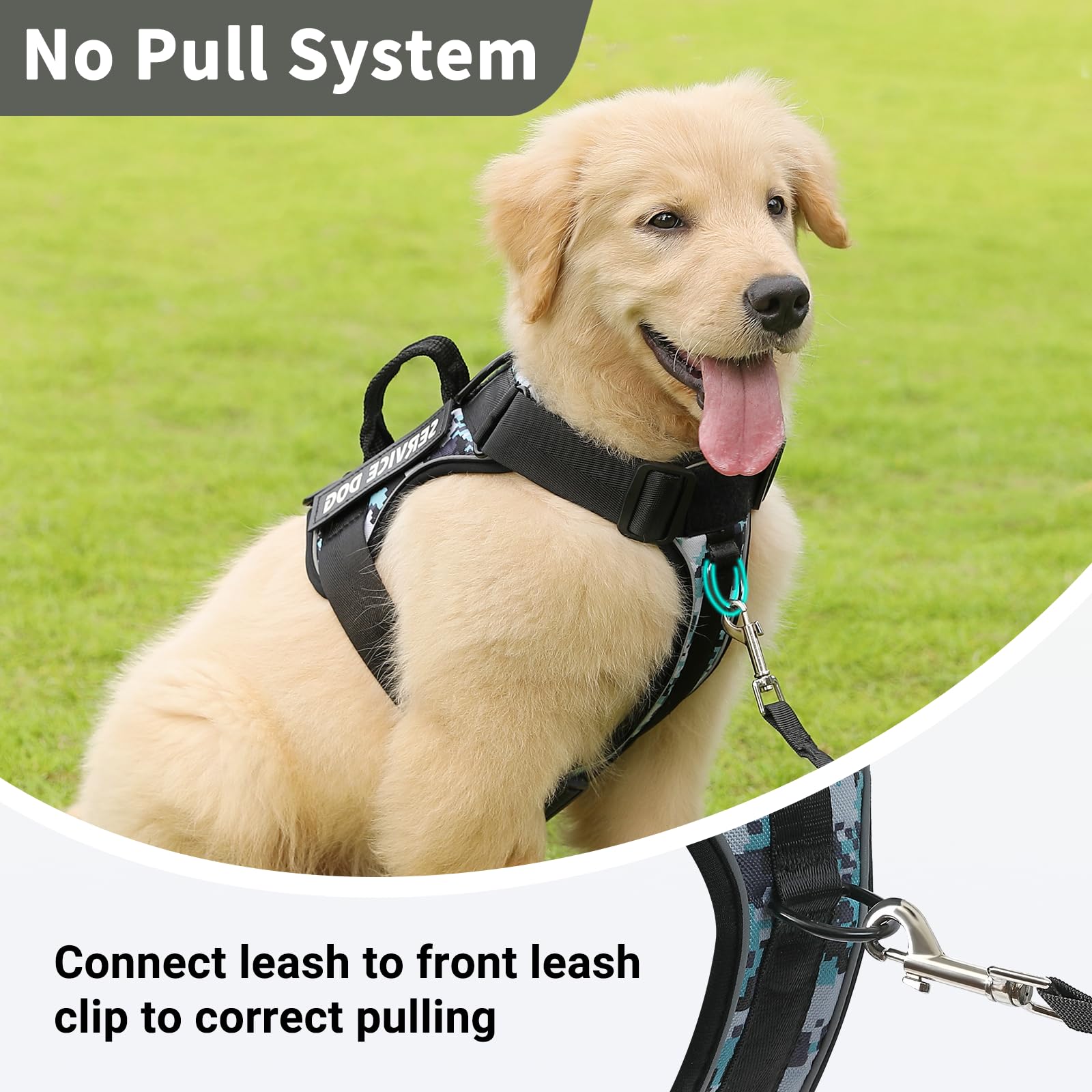 Belababy Dog Harness Small Medium Large - Image 4