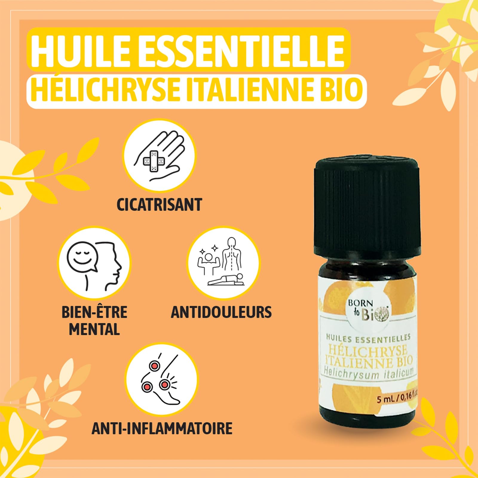 BORN TO BIO Huile Essentielle Hélichryse Italienne Bio - 100% Pure et Naturelle - Propriétés Anti-Hématomes et Cicatrisantes - Certifié EcoCert - 5ml