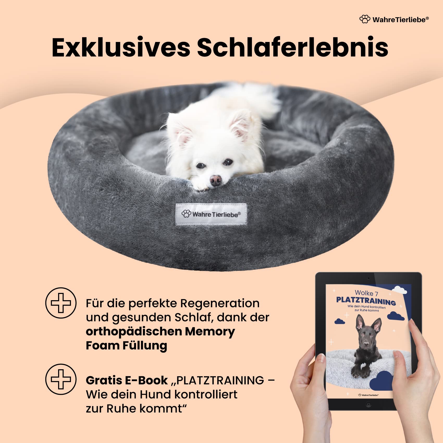 halterung für hundeleinen Halter | S-L MULTI | inkl. 3-in-1 Leash main image 0
