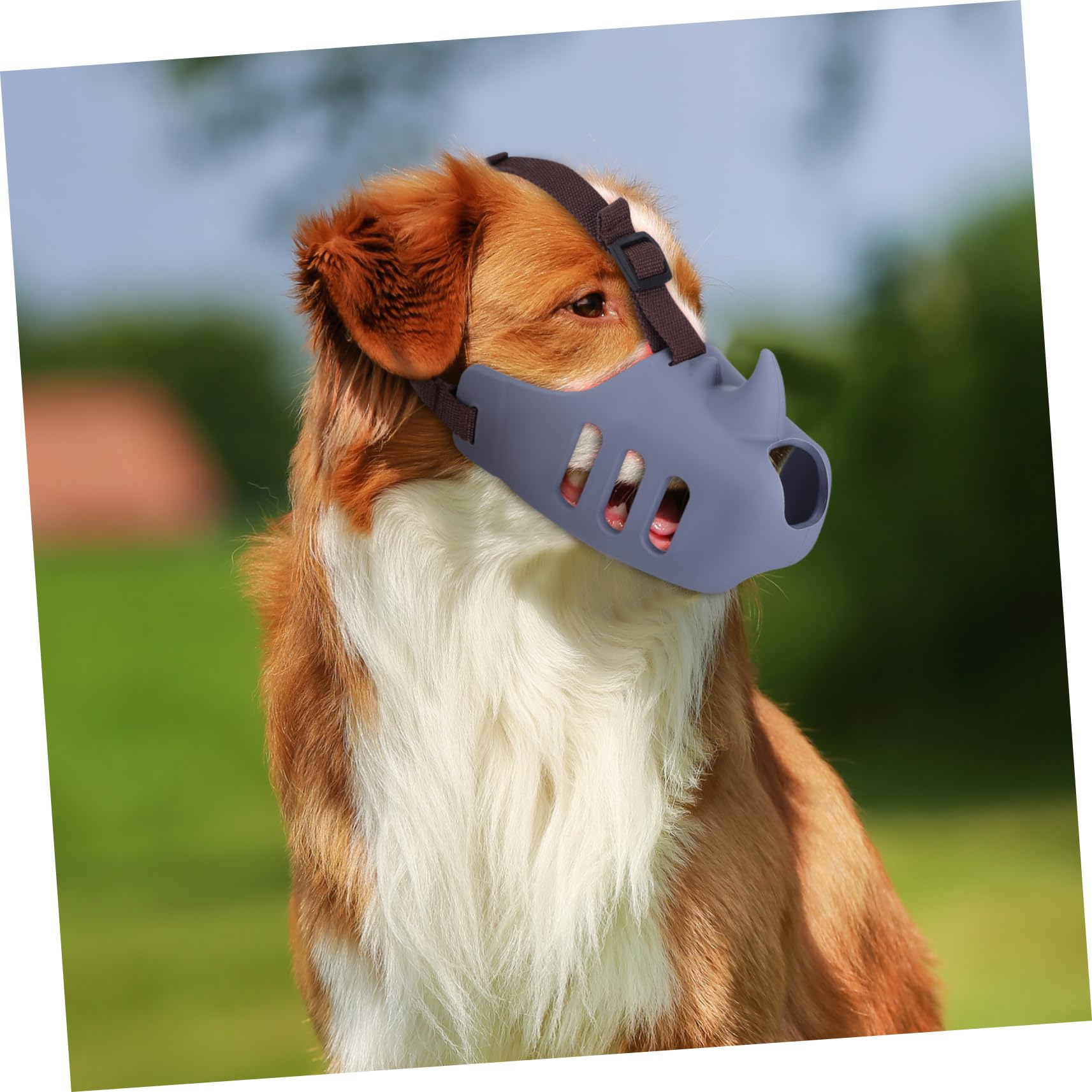 Mipcase 3 Piezas Bozal para Perro Antiladridos Ajustable para Jaulas Prevención de Mordeduras Protector Bucal Bozal para Perros Pequeños para Mascotas Pequeñas