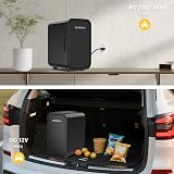 Enventor 6L 8 Lattine Mini Frigo Nero, 12V/220V - 7