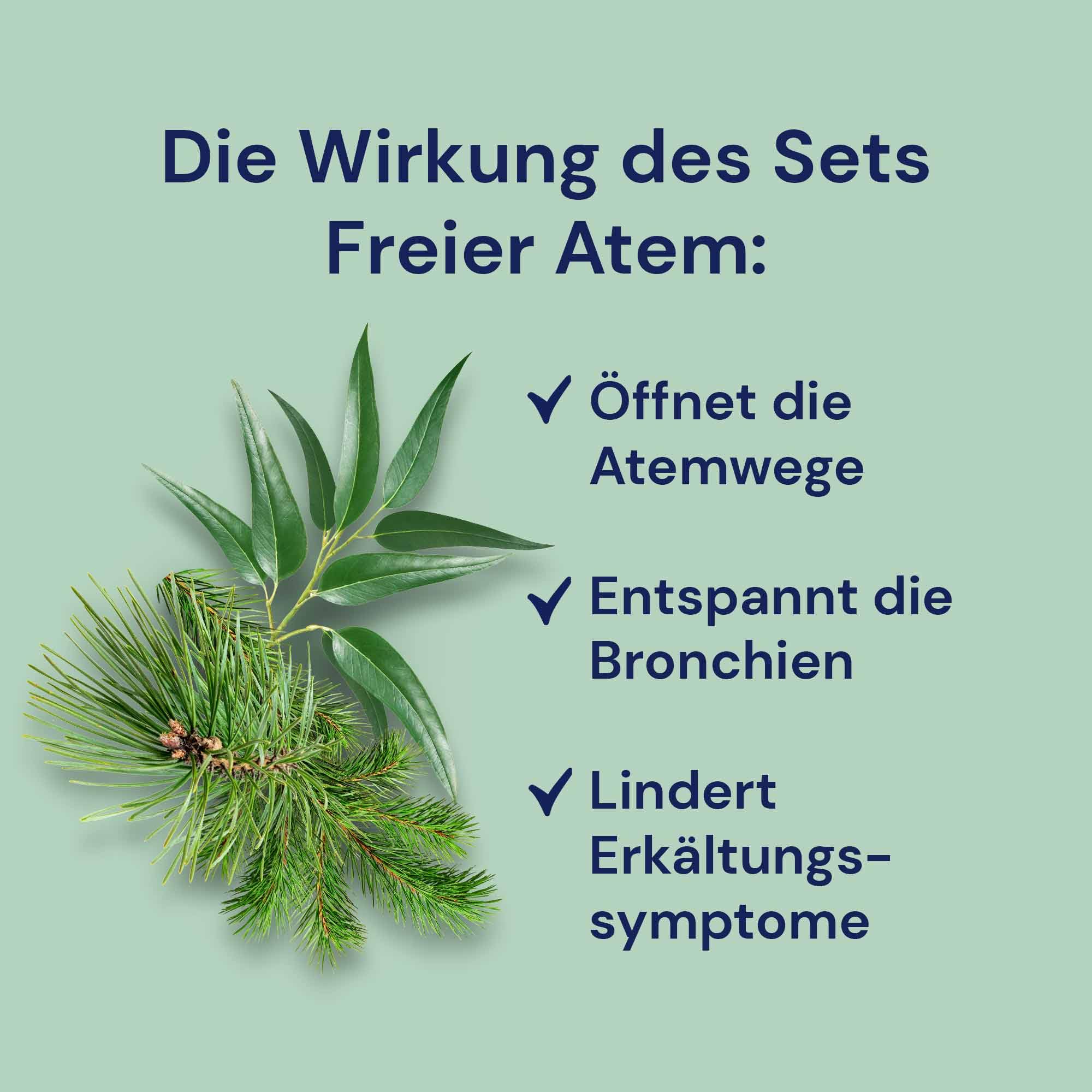 Spitzner esencia para saunas Libre Respiración: Eucalipto, Aguja de abeto, Pino de montaña y Saunamed (4 x 190 ml)