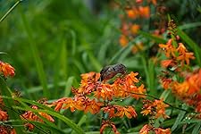 Review Image by dani dani