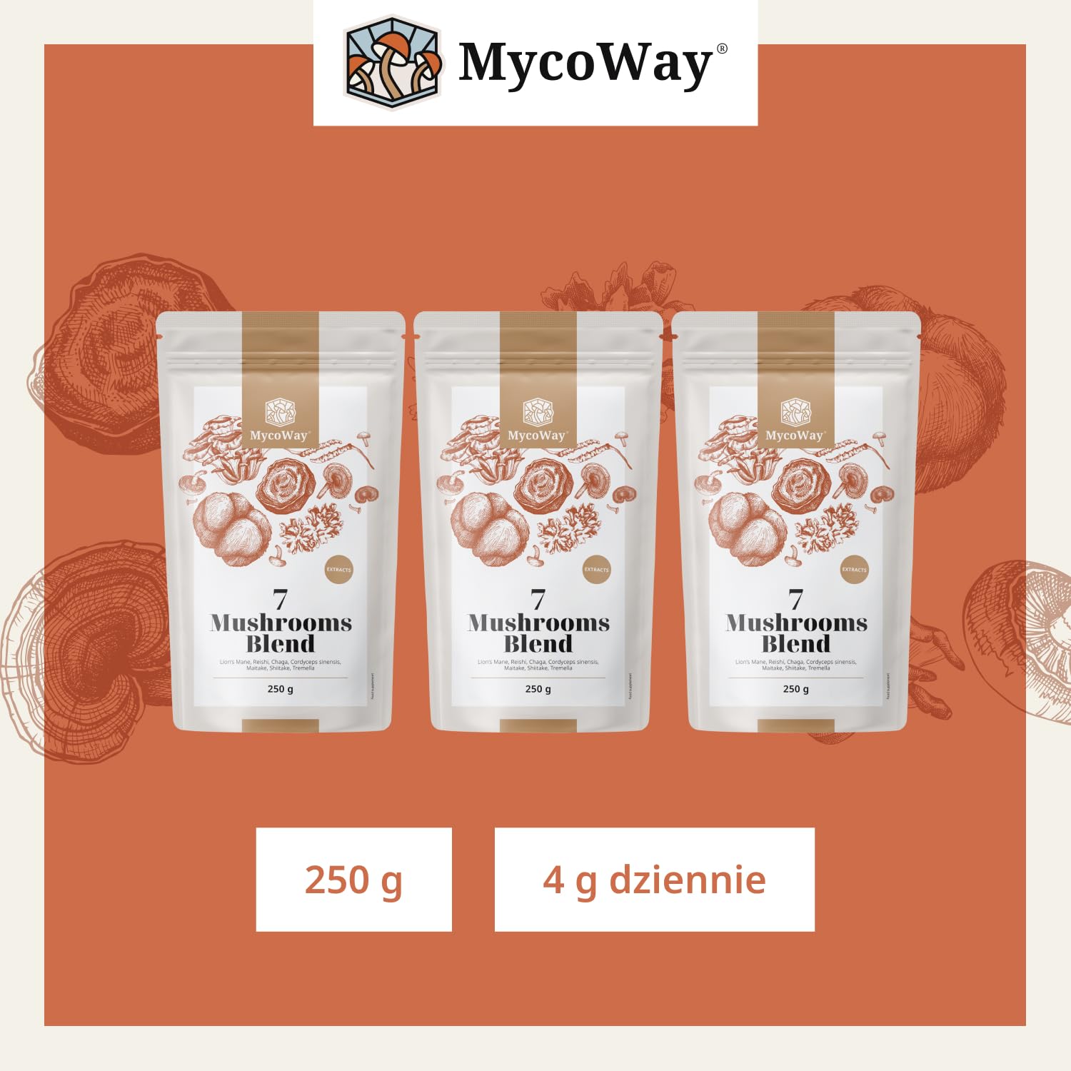 Mieszanka wyciągów z siedmiu grzybów w proszku od MycoWay – 250 g – 62 porcje – Silne naturalne wyciągi – Zastrzyk energii – Kompleksowe wsparcie dla organizmu