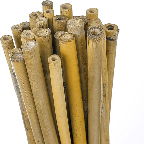 Miniatura 3 de Estacas de bambú de 4 pies, estacas de jardín para plantas trepadoras en interiores y exteriores, postes de soporte, tomates, berenjenas, frijoles,