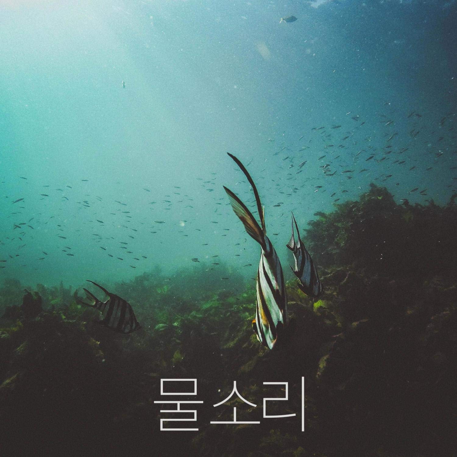 자연의 소리를 듣다