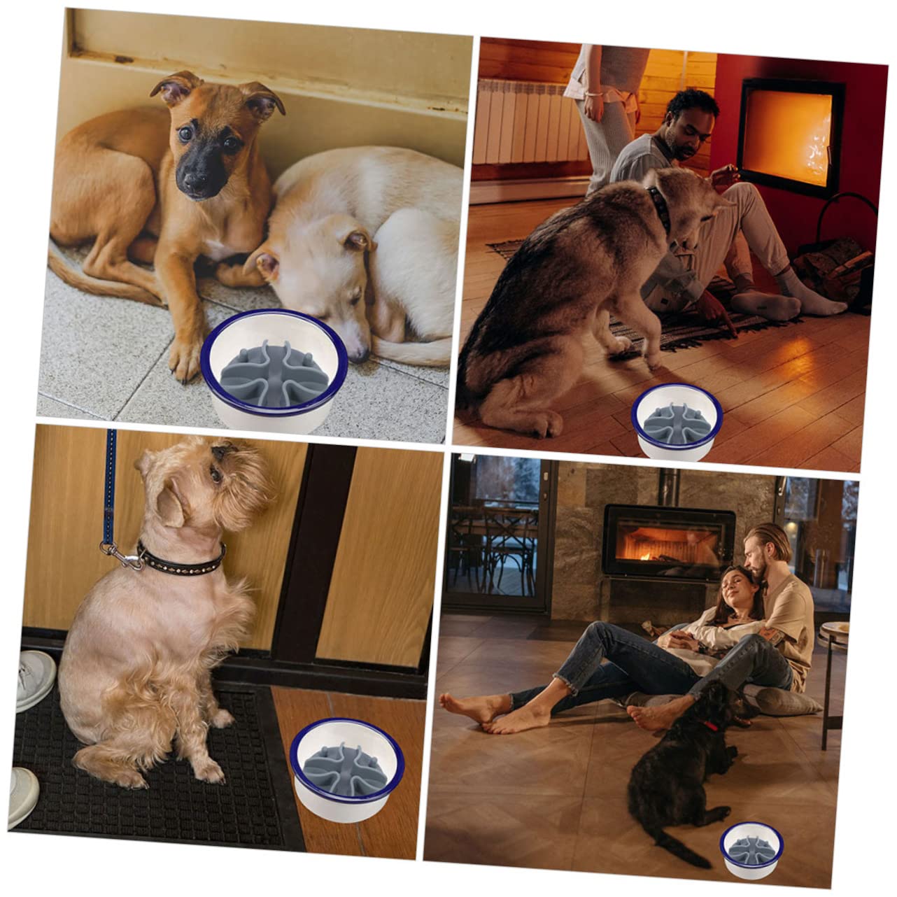 Mipcase 4stücke Dog Slow Feeder Insert Lebensmittelechtem rutschfest Und Einfach Zu Reinigen Langsamer Futterautomat Für Kleine Und Mittelgroße Hunde Griffiger Futternapf