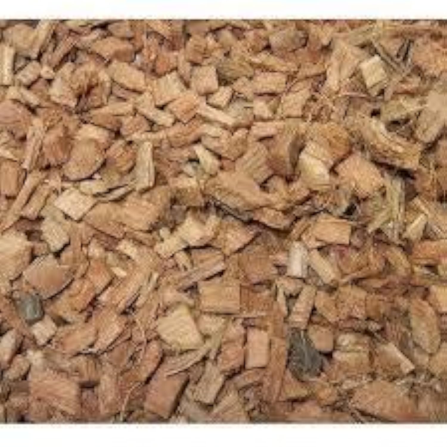 See full amazon price history chart for Living Colours Farm Coconut Husk Chips (4.5 Liters) Living Colours Farm Coconut Husk Chips (4.5 Liters) (B07VMXSS4N) Amazon Price History, Amazon Price Tracker