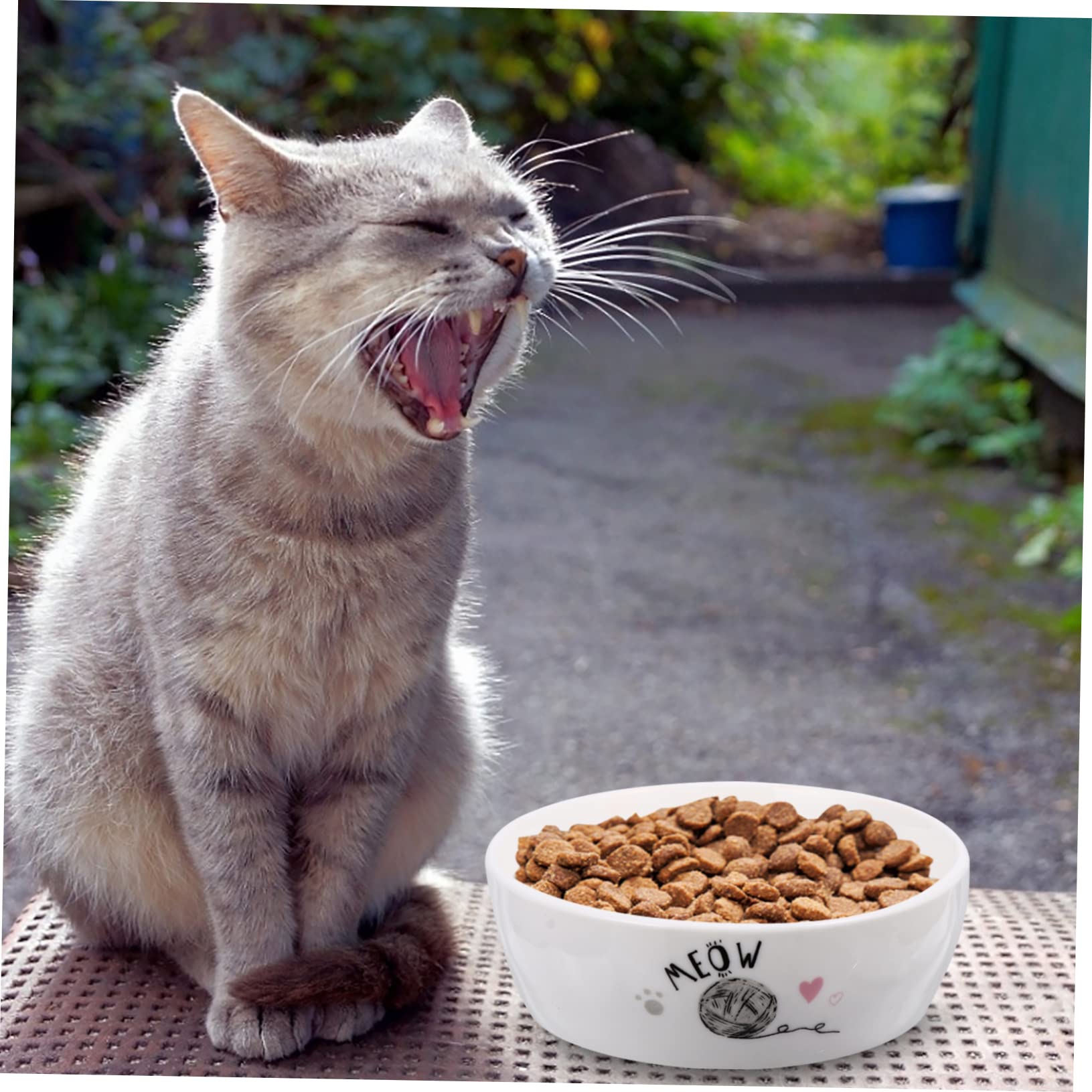 Mipcase Cuenco de para Gatos Antideslizante Fácil de Limpiar Comedero para Mascotas Cachorros y Conejos Capacidad Suficiente para Comida y Agua Adecuado Diario