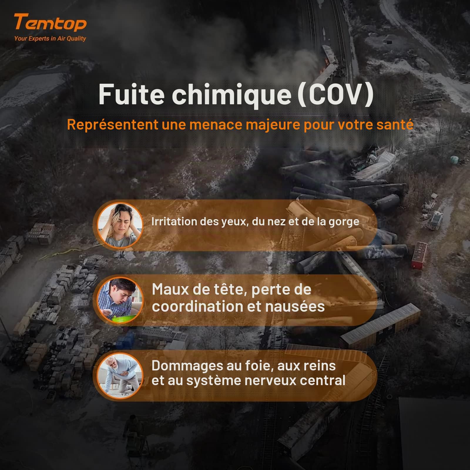 Temtop M10 Surveiller Détecteur de Qualité de l'air pour PM2.5/HCHO/TVOC/AQI, Portable Moniteur Intelligent, Batterie Rechargeable