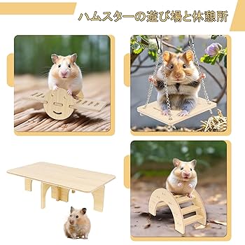おもちゃの家とキャラクター小物セット Amazon | IRRVIN 6点セット ハムスター ハウス おもちゃ
