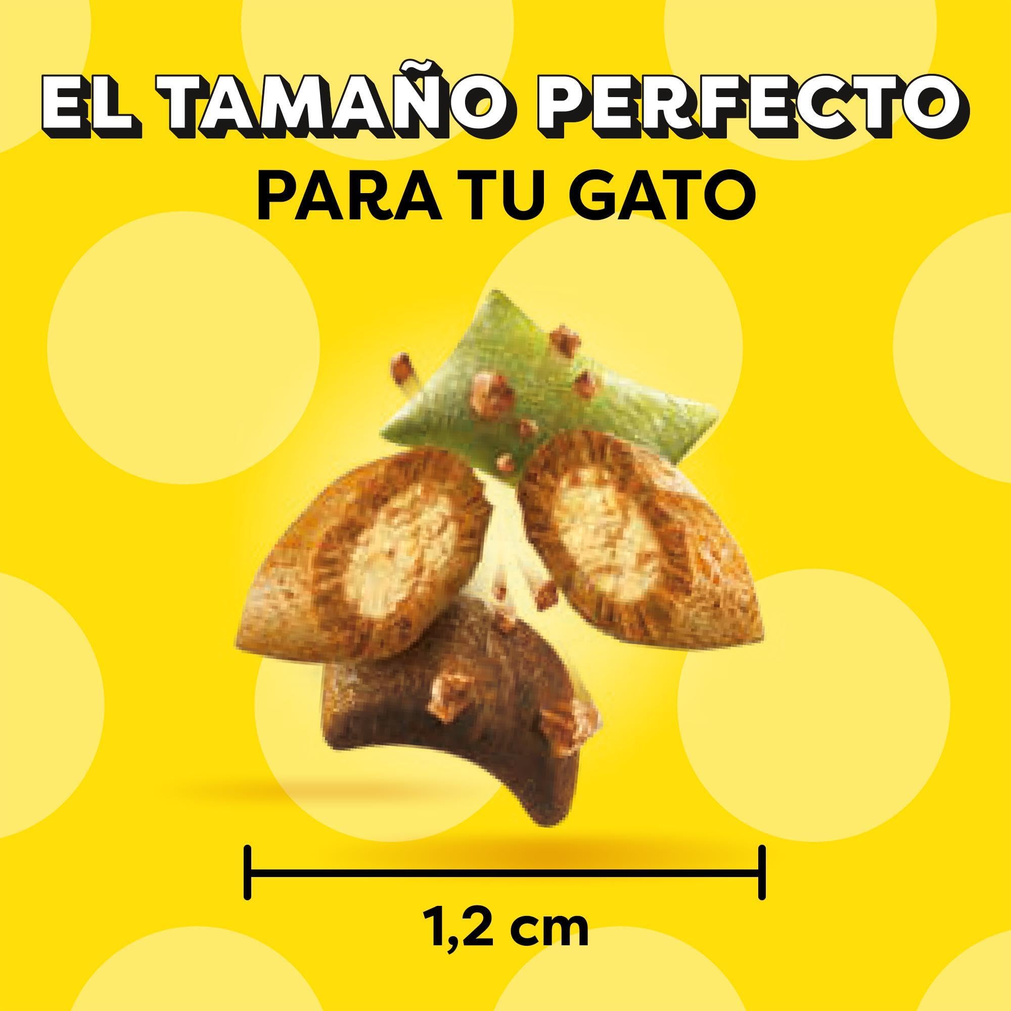 Catisfactions Premios para Gatos Sabor Aves a la Brasa 6x55g