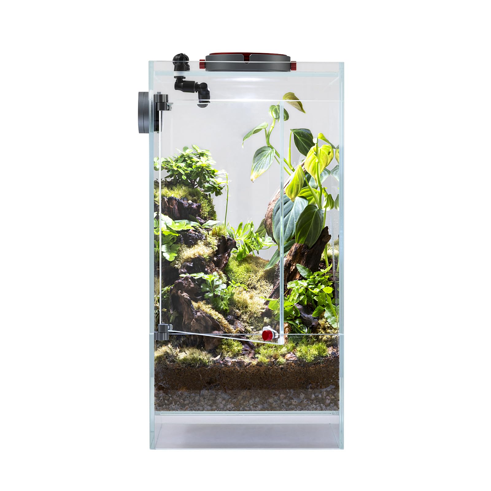Amazon.co.jp: LEDSTAR インフィニティ ハイラエア テラリウム