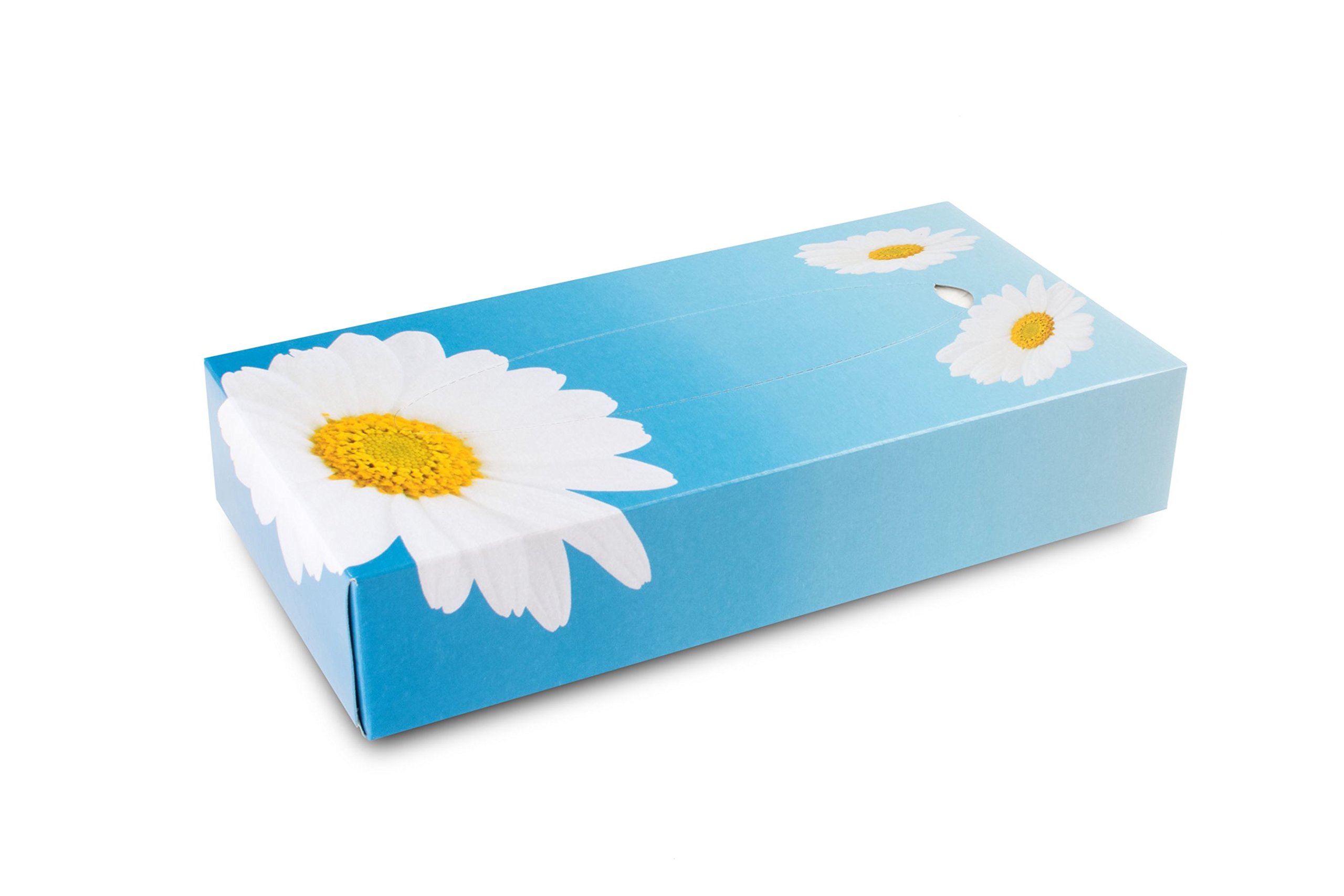 Funny Kosmetikboxen 2 lagig 100 Tücher per Box hochweiß, 10er Pack (10 x 100 Stck)