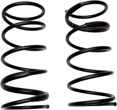 Moog 80162 Coil Spring Set