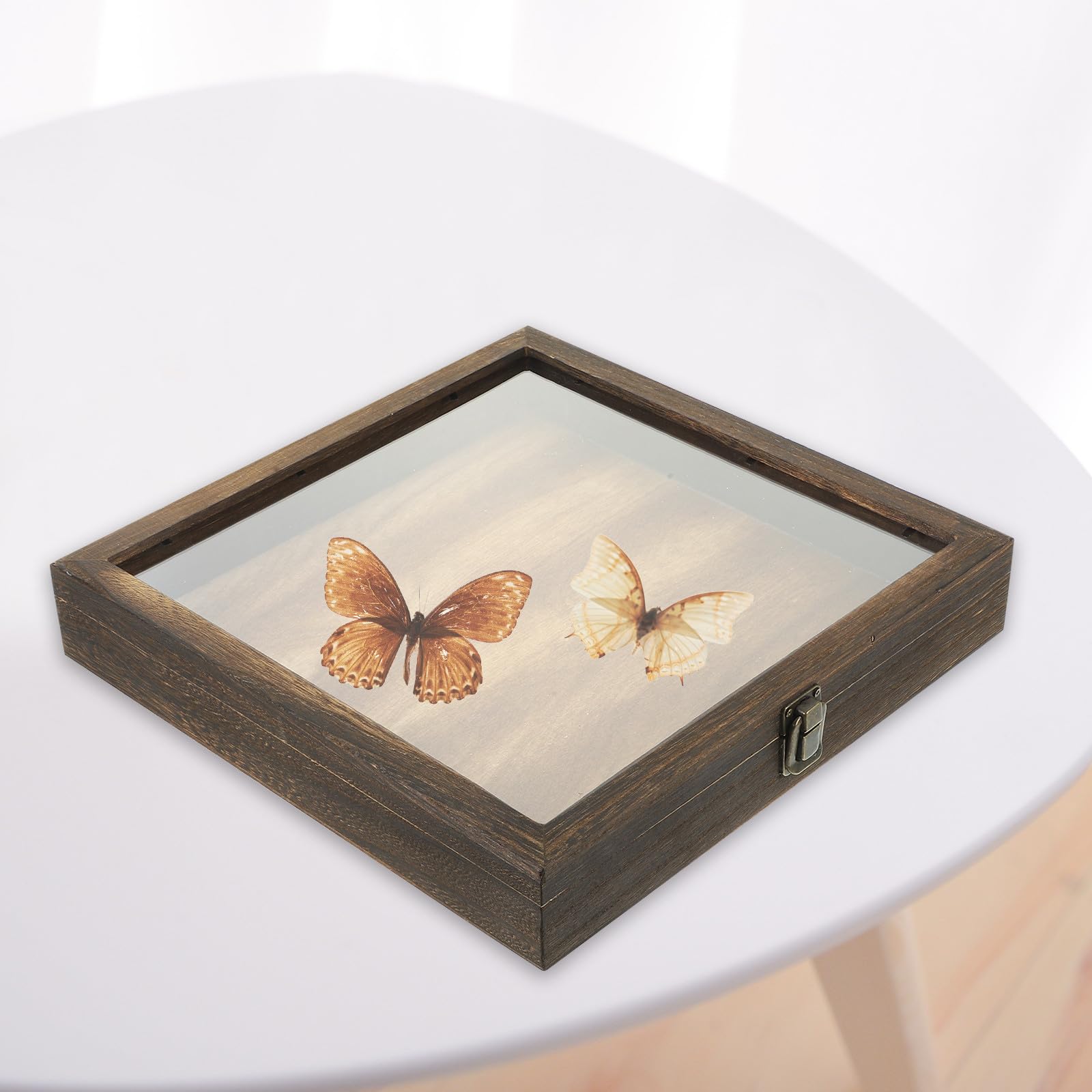 INOOMP Caja de Almacenamiento de Madera Almohadilla EVA y Tapa Transparente, Estuche para Exhibición de Muestras de Flores Secas y Especímenes en Vitrinas Portátiles Estilo