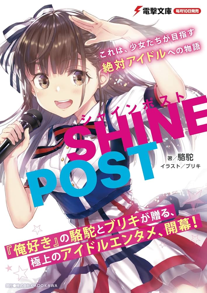 NEWS アイドル 非売品 告知 特典 ポスター 35点 まとめ NEWS アイドル 非売品 告知 特典 ポスター 35点 まとめ