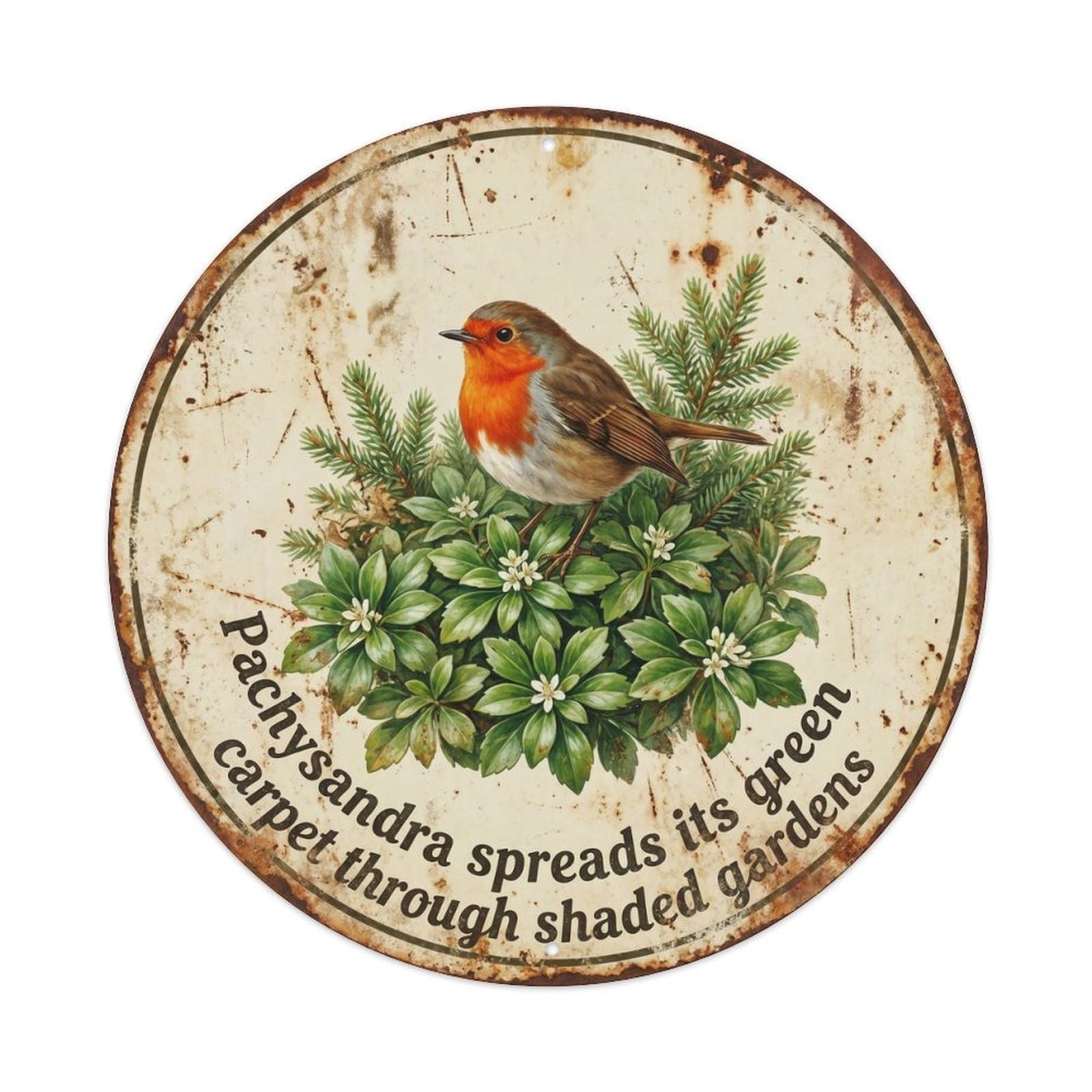 Robin Bird Garden Quote Pachysandra RoundMetal Tin Sign