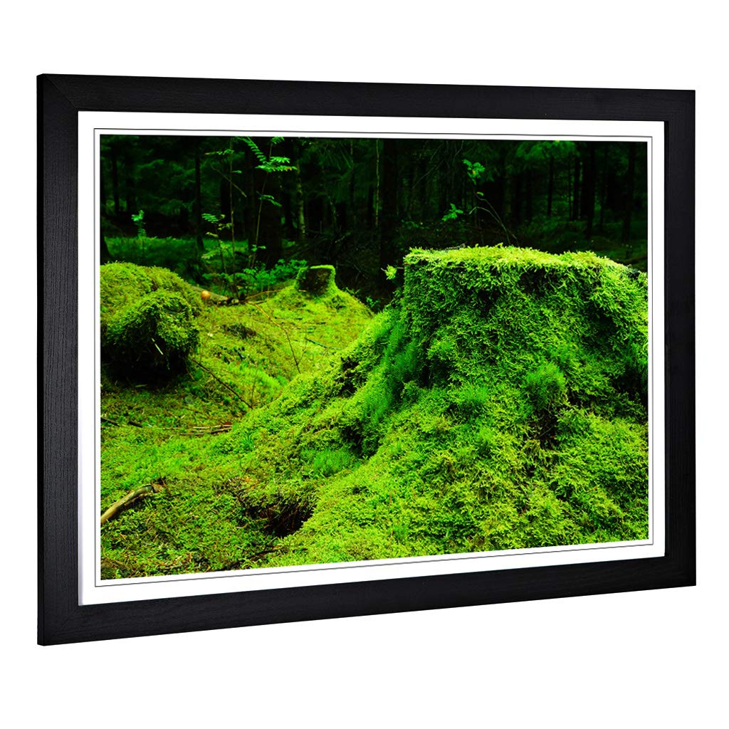 Big Box Art Framed Print of Landscape Forest Moss Norway Design | Wall Art Picture | Home Decor for Kitchen, Living, Dining Room, Bedroom, Hallway, Office, Black, A2 / 24.5x18 Inch / 62x45cm