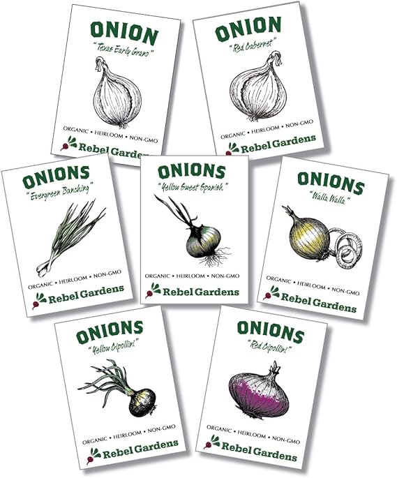 Got Onion With Stem? Here's 3 Great Ways To Use It Gardening Dream