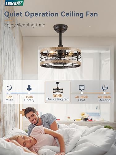 Miniatura 2 de LEDIARY Ventilador de techo enjaulado de 16.5 pulgadas con luz, ventilador de techo industrial Fandelier con control remoto, luminarias de techo de
