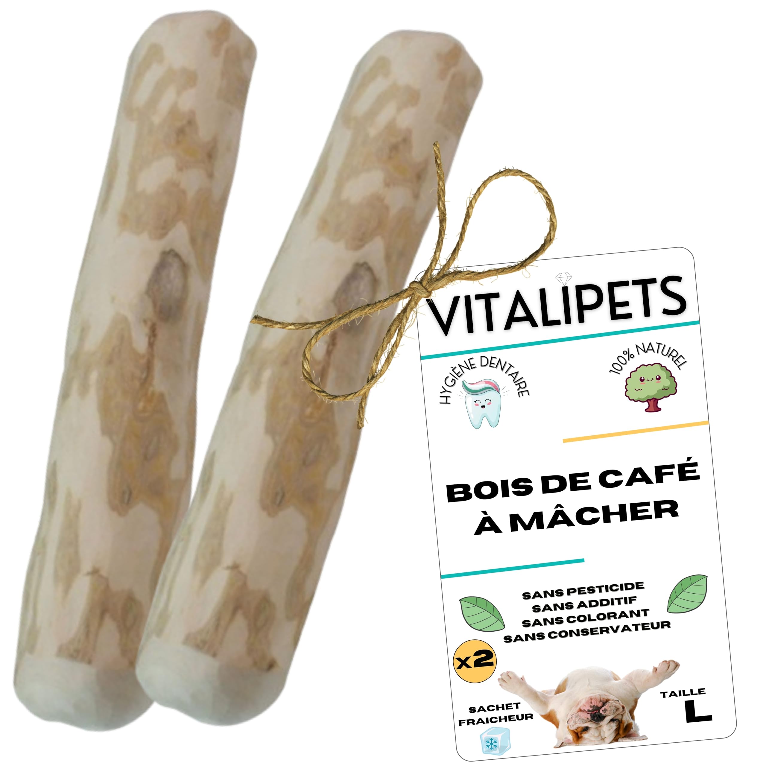 Bois de café pour chiens L : l'excellence d'une mastication 100% naturelle et ultra-résistante