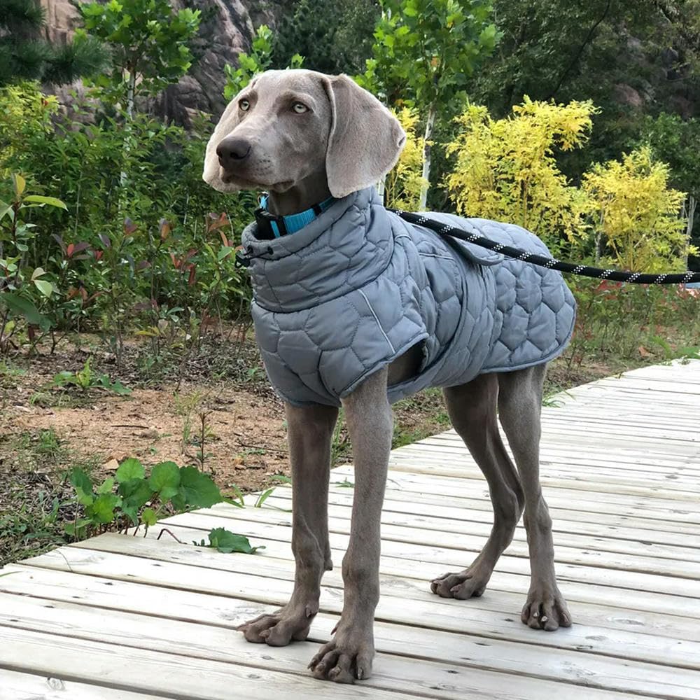 Vestiti per Cani Abiti per Cani Invernali Antivento Morbido Trapuntato per Cane Caldo Giacca da Neve Capello di Cane Grande-Verde-s