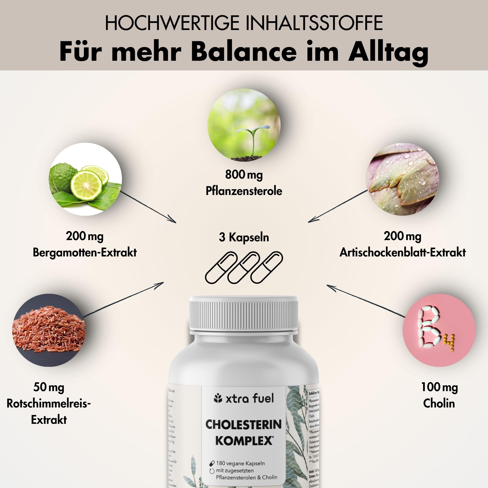 Cholesterin Komplex mit Pflanzensterolen & Cholin – 180 vegane Kapseln (hochdosiert) – Bergamotte, Artischocke & Rotschimmelreis Extrakt mit Monacolin K – vegan & laborgeprüft