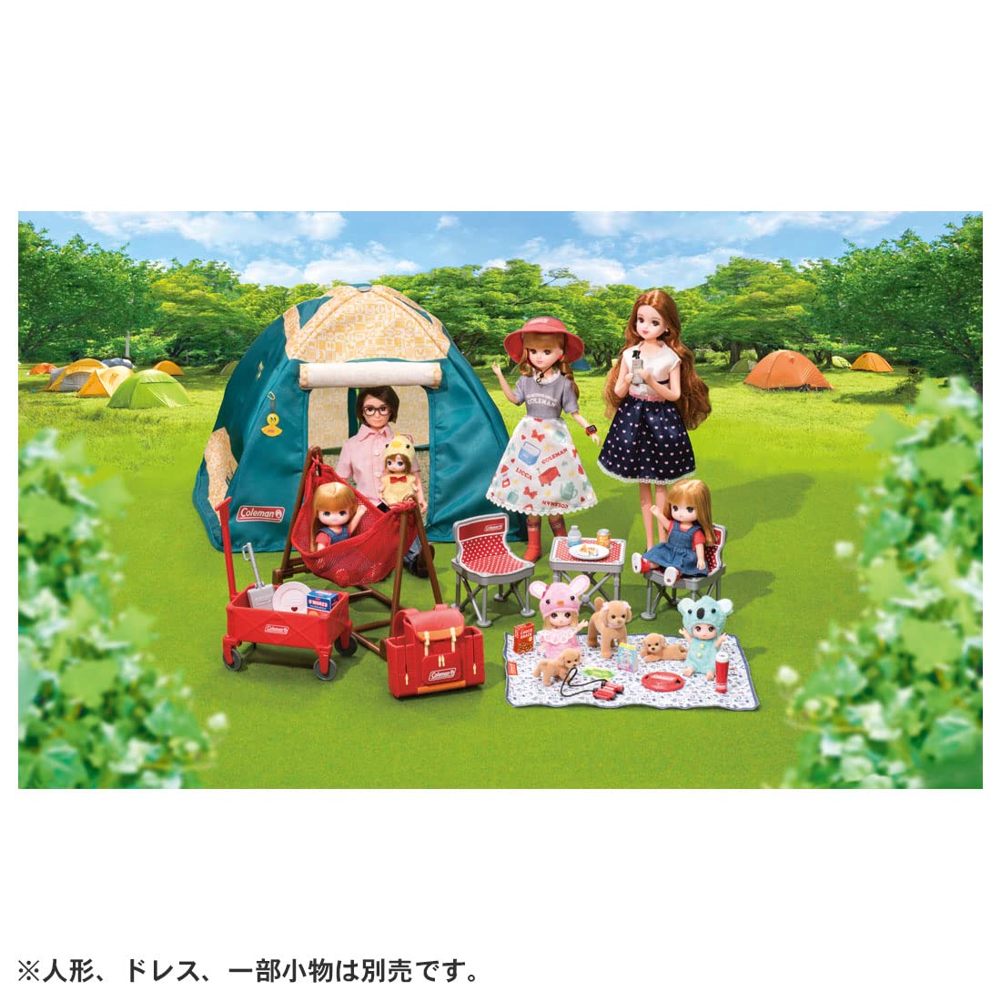 Amazon.co.jp: タカラトミー(TAKARA TOMY) リカちゃん LF-09