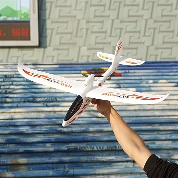3-Channel RC Airplane 2.4GHz Remote Control Glider Plane with Durable EPO Fuselage, Built-in Gyro Stabilization System,750MM Wingspanfor Adults, Advanced Pilot