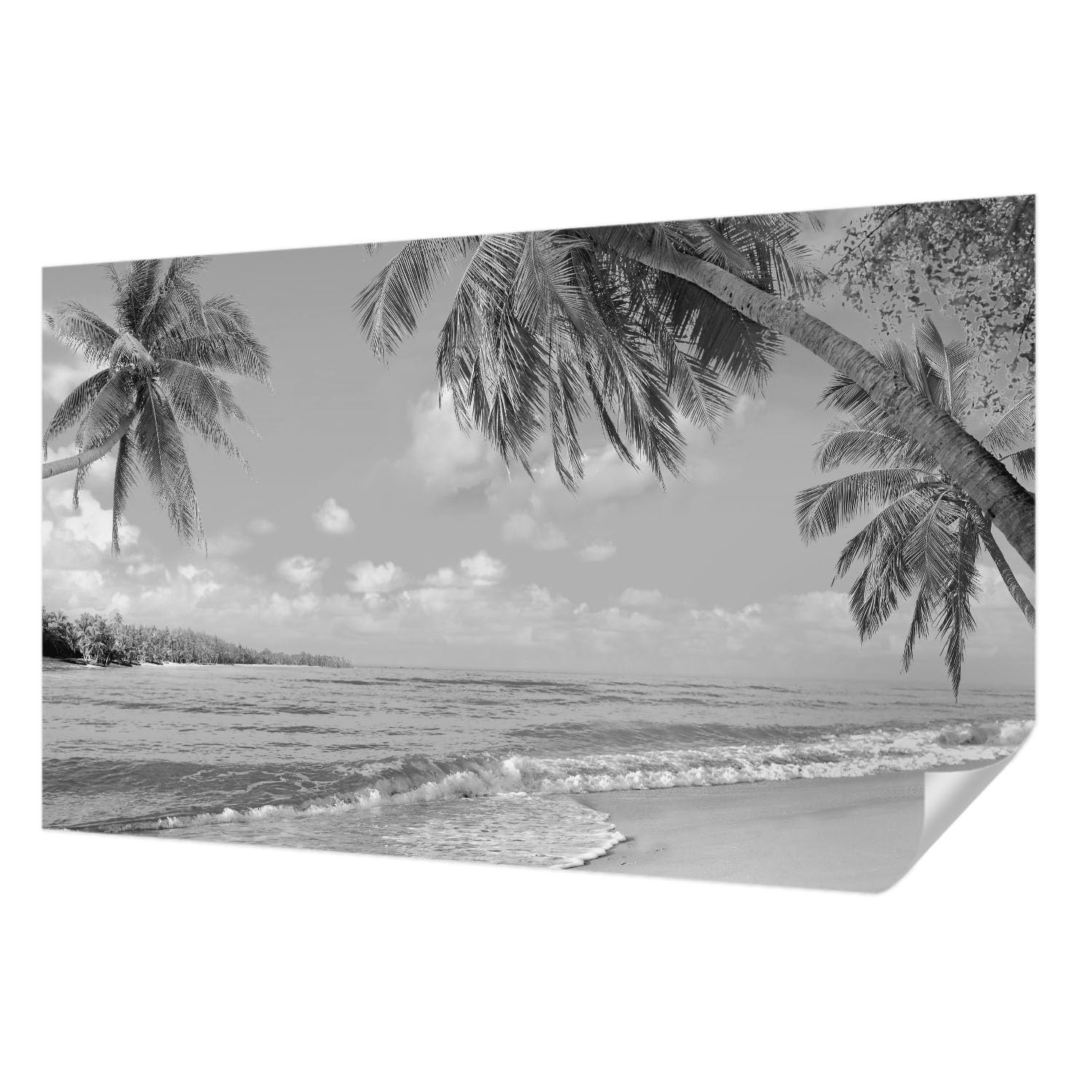 Papier peint panoramique tropical pour salon et chambre à coucher Tulup