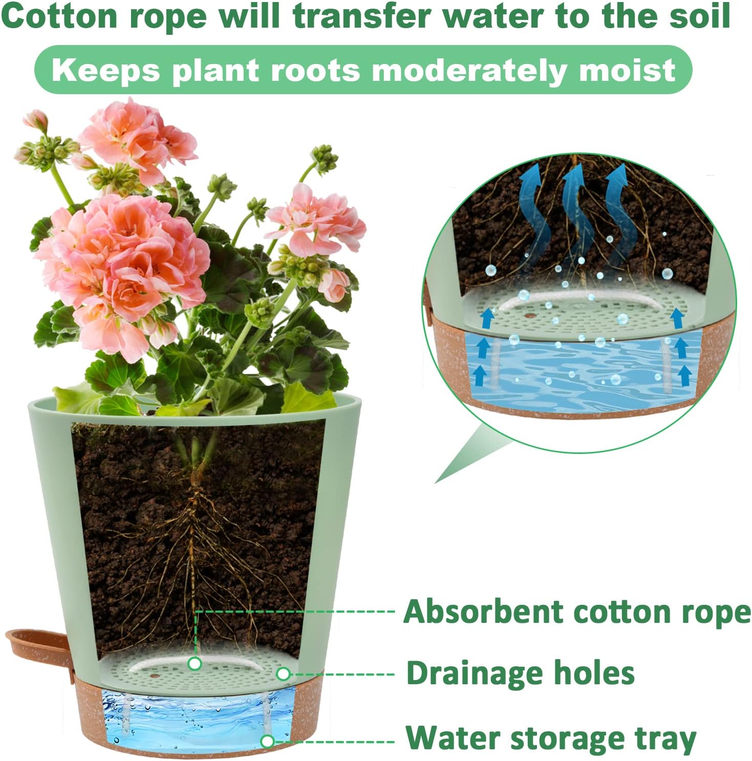 Aulo Self Watering Pots for Indoor Plants - Bottom Watering African