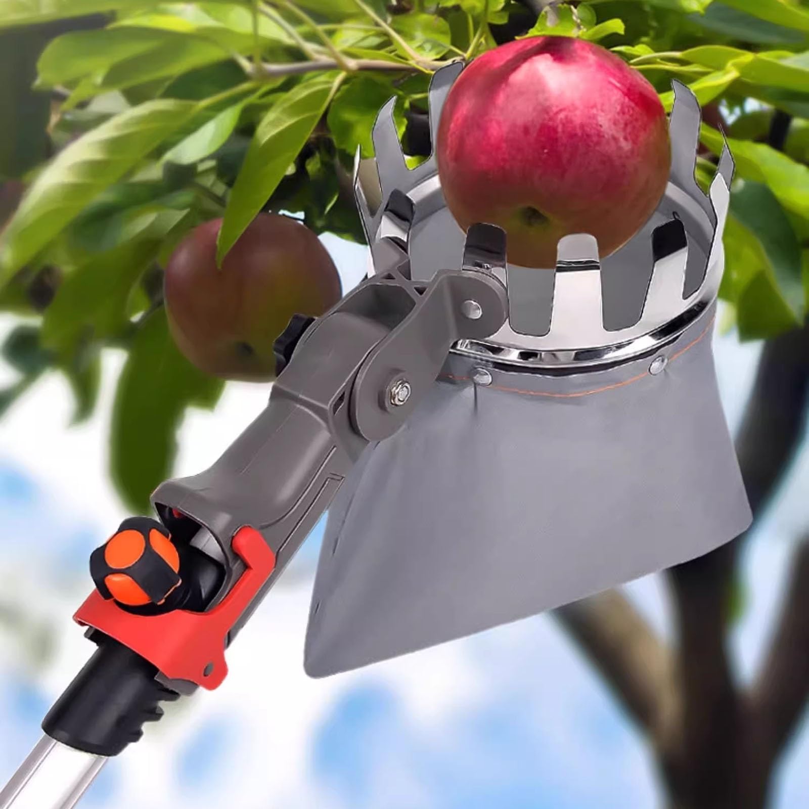 Raccogli Frutta Telescopico con Cestello, Raccogli Frutta da Albero Frutteti, Serre, Avocado, Arance, Mango e Albicocche