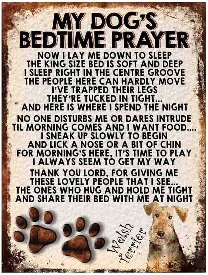 MY DOG'S BEDTIME PRAYER RETRO STYLE METAL TIN SIGN/PLAQUE (WELSH TERRIER), mixed, 8" x 6"