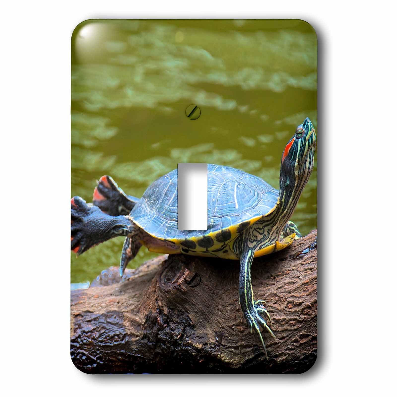 Interrupteur à bascule simple tortue peinte Hong Kong 3dRose