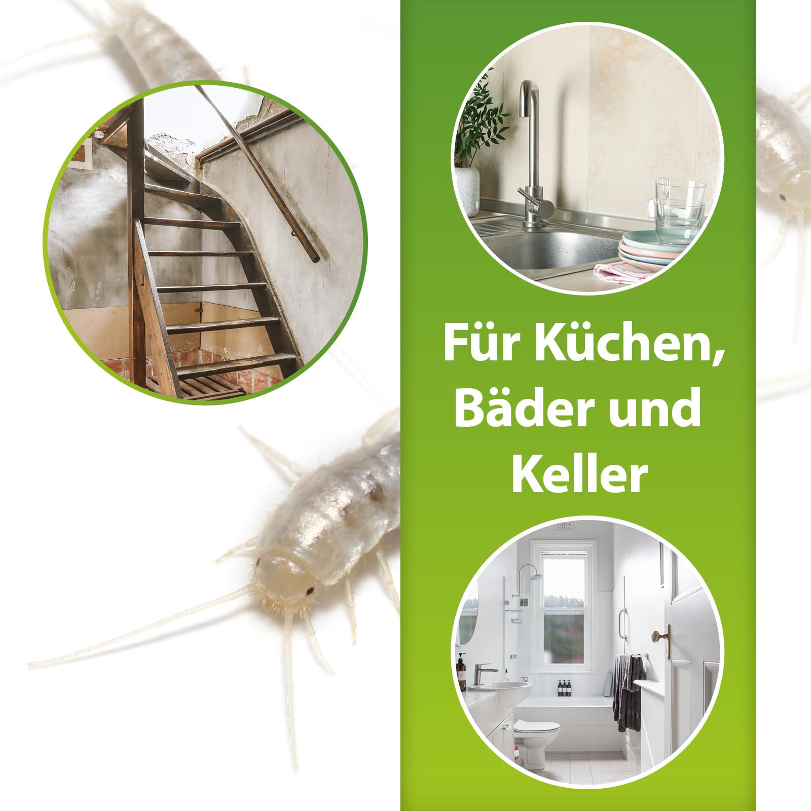 ARDAP Repell Silberfisch Zerstäuber 2 x 500ml - Silberfisch Spray - Mittel gegen Silberfische - Silberfischspray - Silberfischchen - Spray gegen Silberfische - Wirkt schnell & effektiv (PT19)