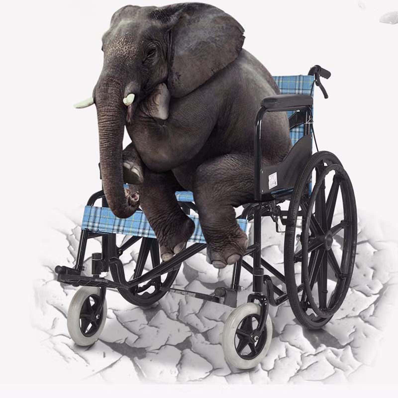Silla de ruedas extra ancha con 20 asientos, capacidad de peso de 400 libras, silla de transporte plegable resistente para adultos, brazos completos y reposapiés abatibles