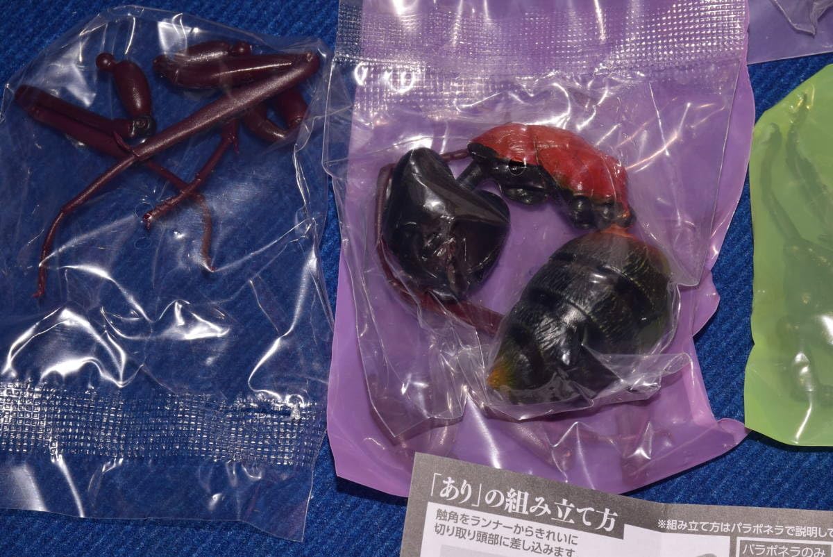 その他 kinapon Amazon.co.jp: Ikimono Encyclopedia Beetle 02, 5 Types, Full Comp
