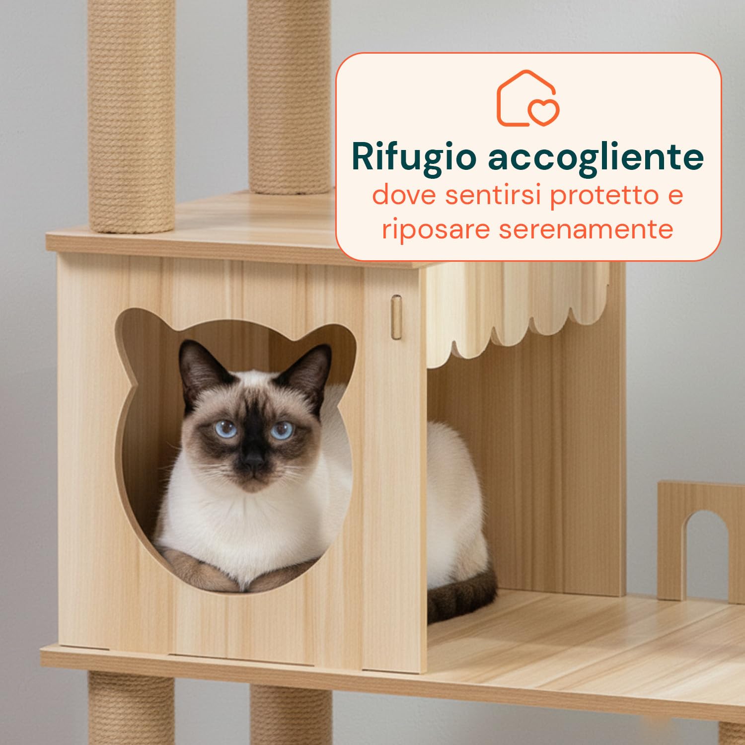 Avilia - Tiragraffi per Gatti Multilivello con Cuccia, Piattaforme in MDF e Colonne in Sisal, H135 cm, con Amaca Trasparente e Pallina Pendente, per Gioco, Relax e Osservazione