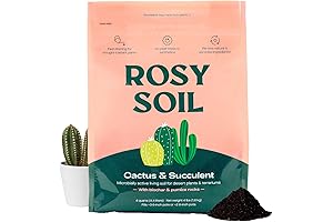 Organic Potting Soil For Cactus - Fast Draining Potting Mix For Succulents,...