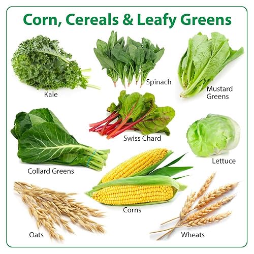 Miniatura 8 de GRF 13-13-13 NPK Fertilizante granular (3 libras)