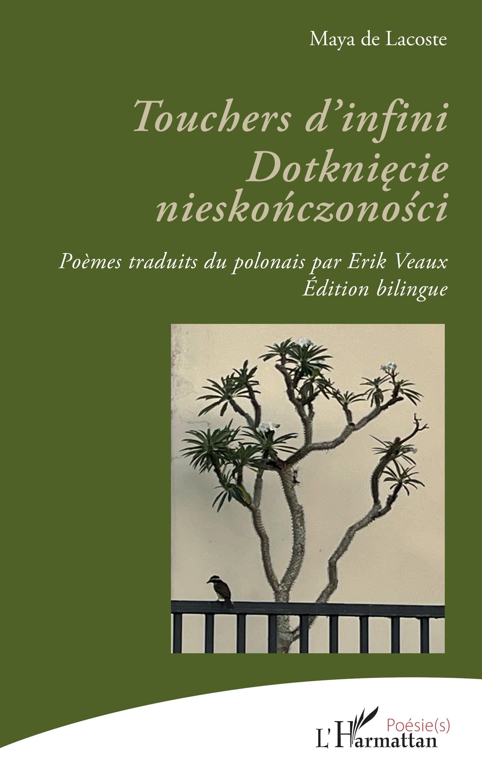 Touchers d’infini. Dotknięcie nieskończoności: Édition bilingue (Poésie(s))