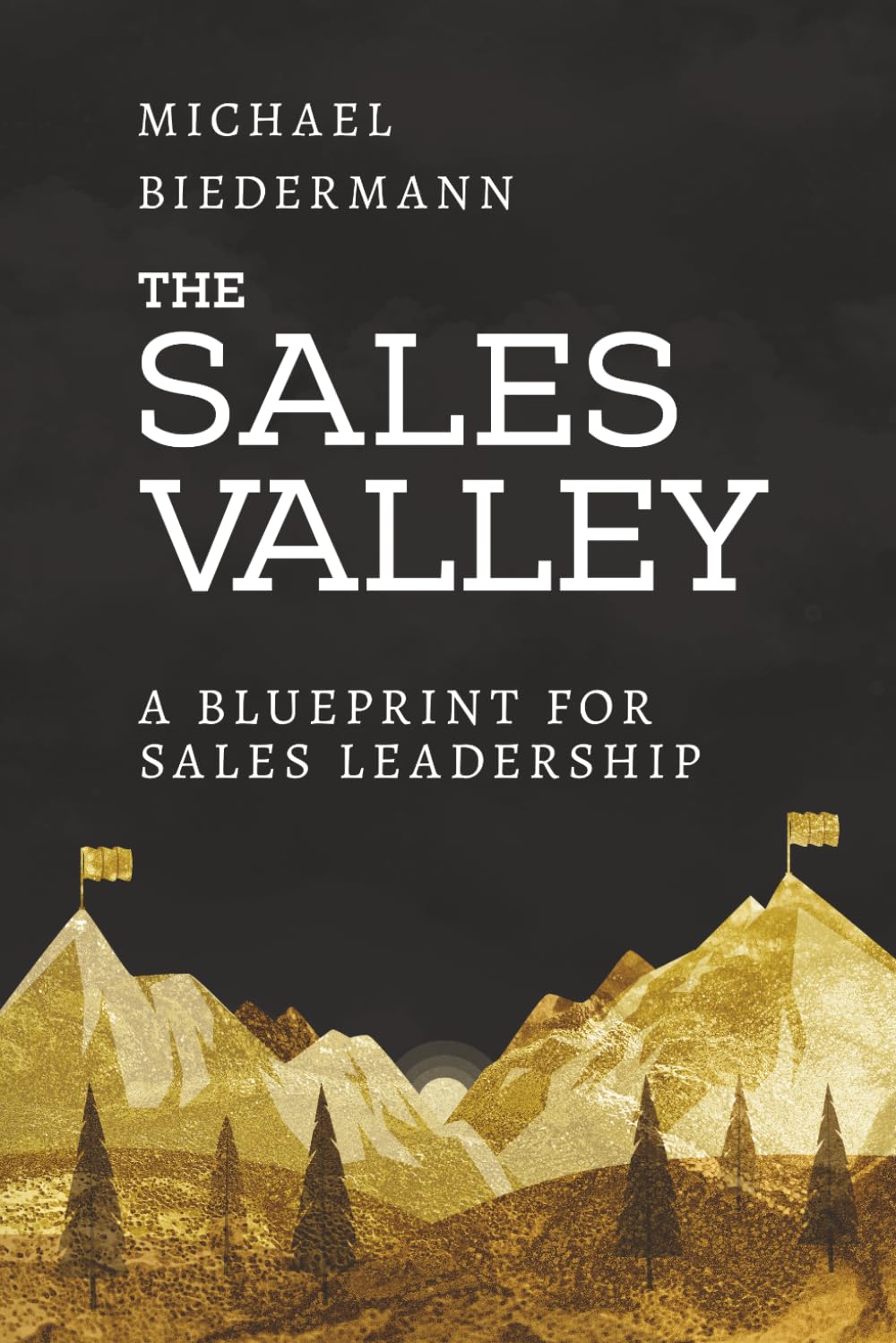 The Sales Valley: A Blueprint For Sales Leadership