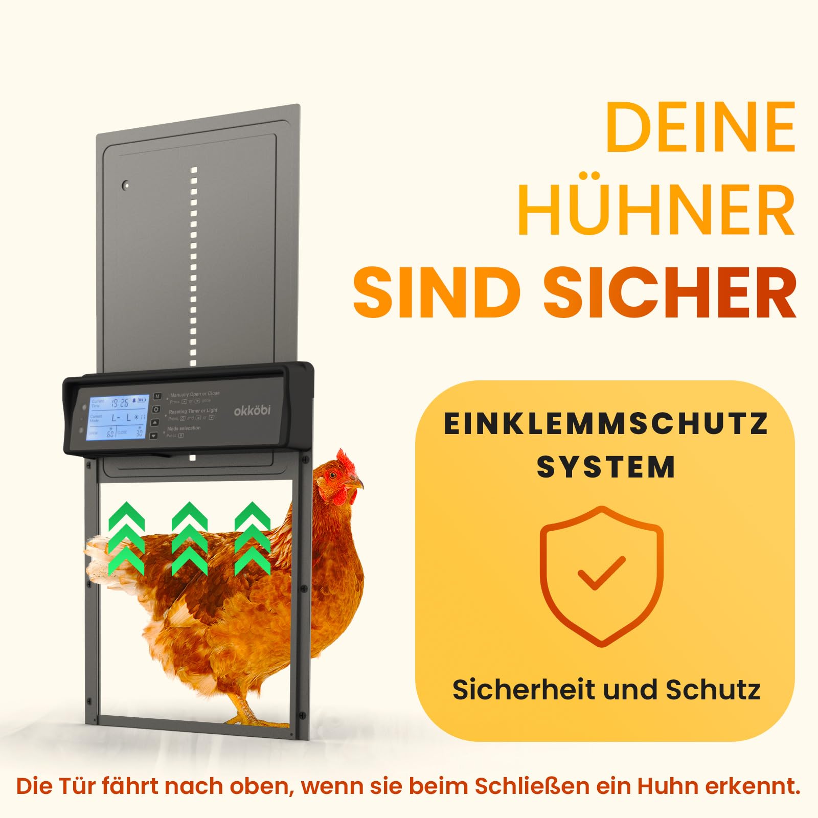 Okkobi Hühnerklappe Automatisch Solar - LCD Display - Automatische hühnerklappe mit Fernbedienung, Lichtsensor & Timer - Sicherheit & Seelenfrieden: Sicherheitsmechanismus - 5 Jahre Schutz