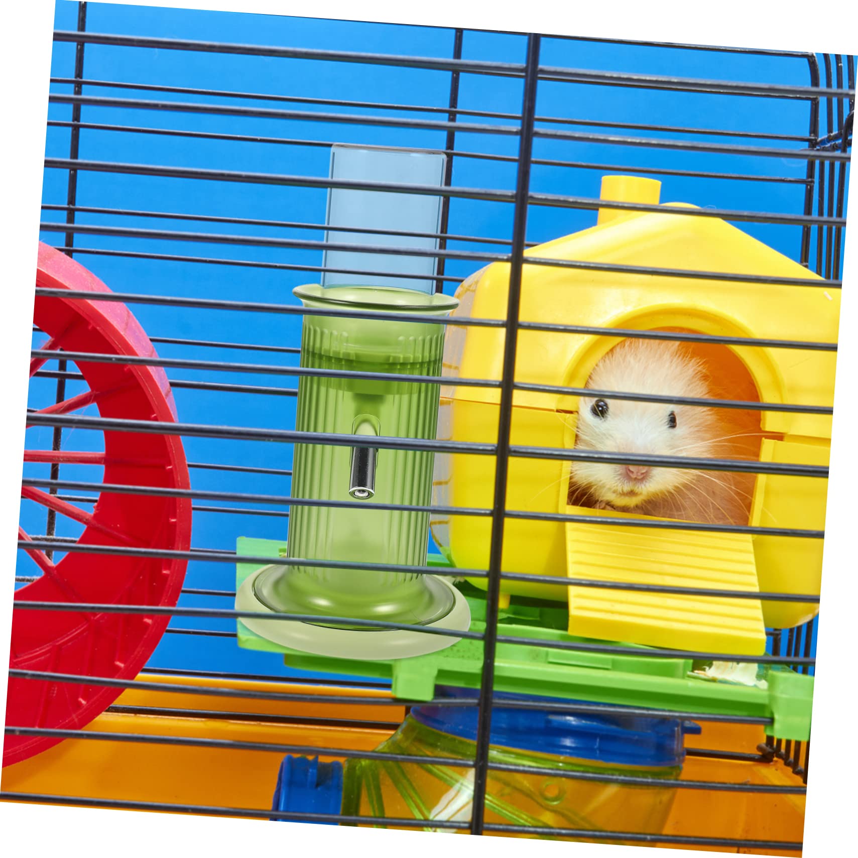Toyvian Biberon Polypropylène Verre et Anti-Fuite en Utiliser Facile Vert pour Hamster Petits Animaux en Cage Quotidien