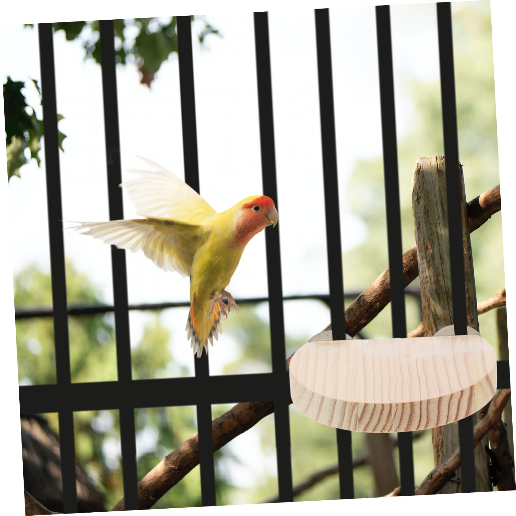 YARNOW 15 Pièces Perche pour Hamster Supports de Cage à Oiseaux Plate-Forme de Perroquet Accessoire Hamster perchoir Perroquet Jouet Accessoires de Cage à Rats tremplin Pratique en Bois