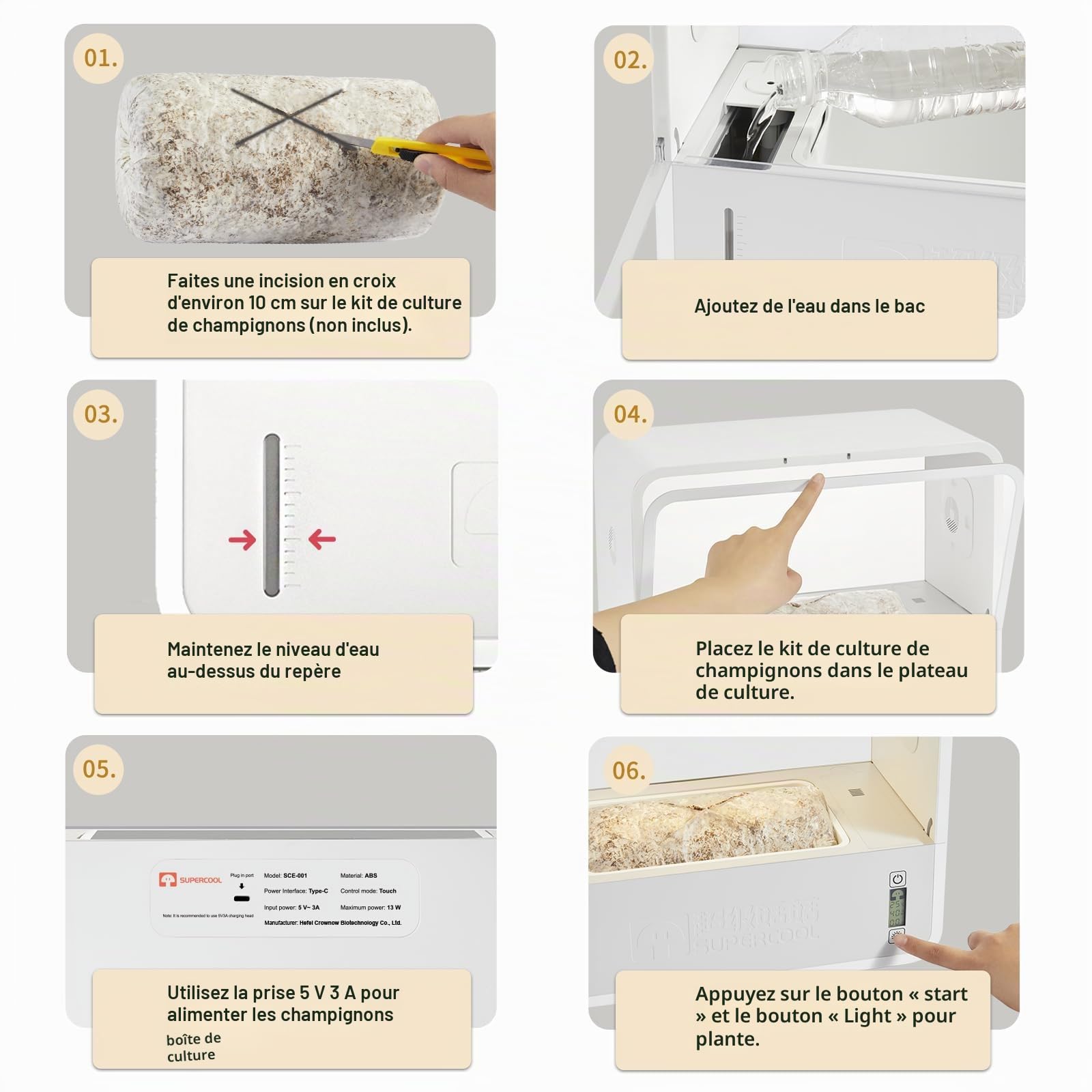 Boîte de culture de champignons avec affichage de la température et de l'humidité, kit de culture de champignons intelligent monotub, tente de culture de champignons d'intérieur avec lumière
