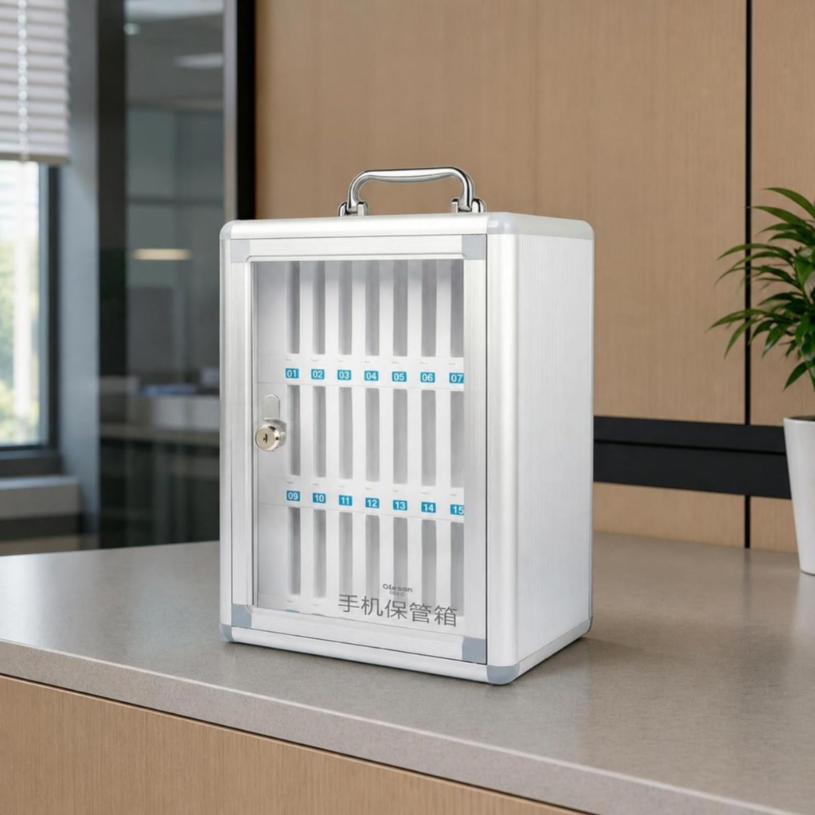 Gralara Boîte Rangement Stable Casier Armoire pour Enseignants, Entreprises, 36 Emplacements